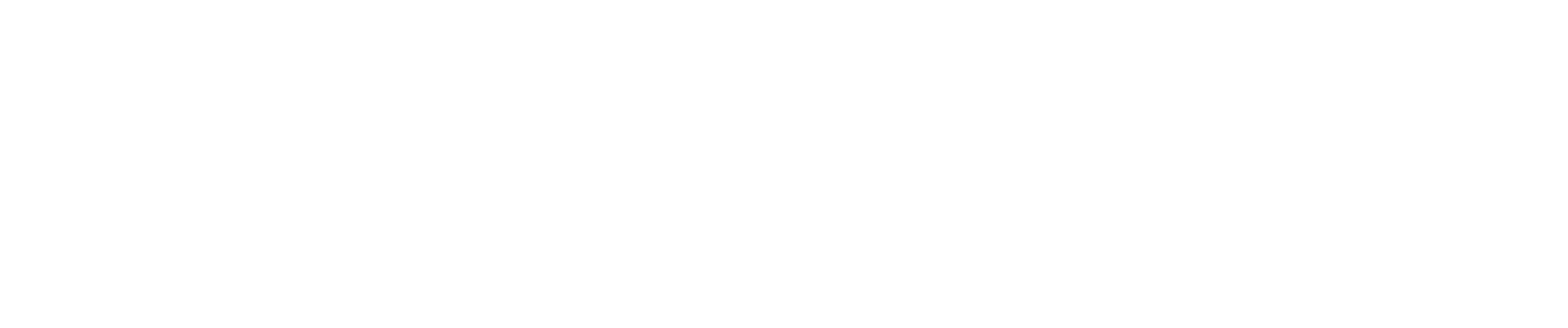 Bluvian Group